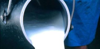 अपनी गुणवत्ता के जरिये लोकप्रिय बना नागपाल पनीर हाऊस