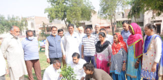 धरती की सुंदरता व प्रकृति के संरक्षण के लिए पौधरोपण है अति आवश्यक-सुमित रिणवा