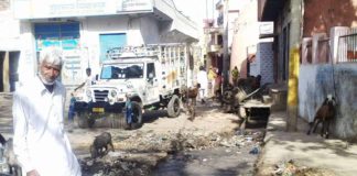 शाहपुरा नगरपालिका वोटर की सफाई व्यवस्था चौपट