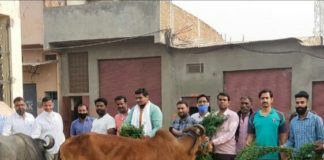 भाजपा युवा मोर्चा ने मनाया पूर्व विधानसभा अध्यक्ष व विधायक मेघवाल का 88 वाँ जन्मदिन