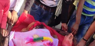 युवाओं ने सिर मुंडवा कर वानर का किया अंतिम संस्कार