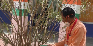 भीषण गर्मी में पौधे हरे-भरे और जिंदा रह सके शिक्षक ओझा पीला रहे हैं पानी