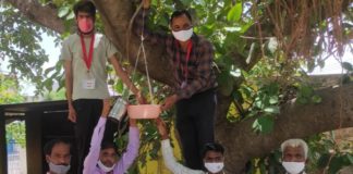 शिक्षकों ने सार्वजनिक स्थानों पर पक्षियों के लिए बांधे परिंडे