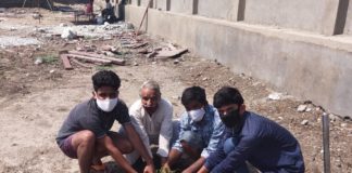 कांग्रेस सेवादल ने स्व गांधी की पुण्यतिथि पर किया पौधारोपण