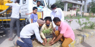 पर्यावरण संरक्षण मनुष्य की जिम्मेदारी है, प्रत्येक व्यक्ति पौधा लगाए – हेमसिंह खिच्ची