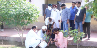 वृक्ष जीवन का आधार होने के साथ मानव जीवन में महत्वपूर्ण योगदान करता है – गुरदीप चहल