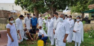 पेड़ हमे देते है सब कुछ हम भी तो कुछ देना सीखे-विभूति दीदी