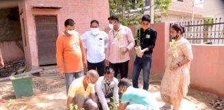 महात्मा गांधी के 150 वी जयंती पर 21 जून से 2 अक्टूबर तक पौधारोपण अभियान, प्रत्येक व्यक्ति पौधा लगाए