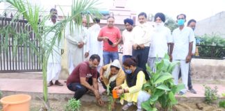 आने वाल पीढ़ी को बचाने के लिये पौधारोपण जरूरी भगवानी अशोक गौरी