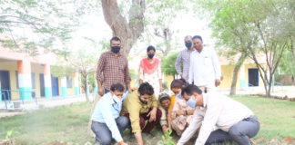 अच्छे से जीवनयापना करना है तो पेड़ लगना जरूरी – सुनील अमलानी