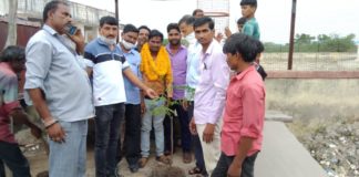 पौधरोपण कर पार्षद कहार का जन्मदिन मनाया