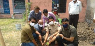 पौधारोपण कार्यक्रम आयोजित किया गया