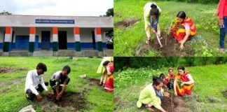 समाजसेवी ताराचन्द पेसवानी की पुण्यतिथि पर किया पौधारोपण