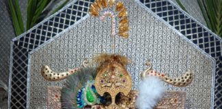 सावन मास में नौगांवा सांवरिया सेठ के दरबार में ठाकुर जी के हो रहे झूले में मनमोहक दर्शन