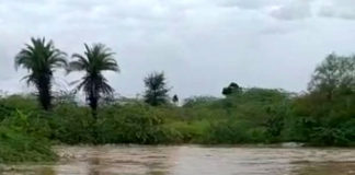 रिमझिम बारिश से जल स्त्रोतों में पानी की अवाक शुरू