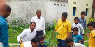 स्वच्छता पखवाड़े के तहत पोधो रोपण किया।