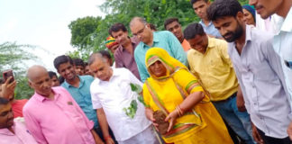 हरियाली अमावस्या पर सासंद सुभाष बहेड़िया व प्रधान मुन्ना कंवर ने किया पौध रोपण