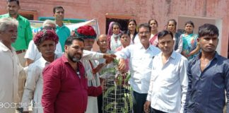भारत विकास परिषद बनेड़ा के तत्वाधान में विद्यालय परिसर में किया वृक्षारोपण