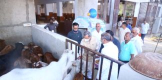 पूर्व मुख्यमंत्री तीर्थसिंह रावत ने किया गौशाला का अवलोकन