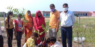 शिक्षा मंत्री डोटासरा के जन्मदिवस पर विद्यालय प्रांगण में पौधारोपण।