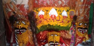 जन जन की आस्था का केन्द्र बिजासन माता का मंदिर