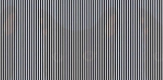 अपने सिर को दो बार हिलाएं, इस तस्वीर से बाहर निकलकर आएगा अनोखा जानवर