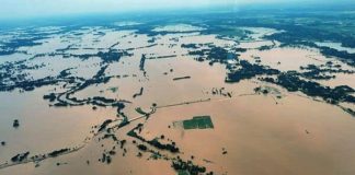 ओडिशा बाढ़: राज्य में रेड अलर्ट, 10 जिलों के 5 लाख से ज्यादा लोग प्रभावित