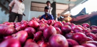 तैयार रहिए..टमाटर के बाद अब प्याज रुलाएगा? 15 दिनों में ही 50% तक बढ़े दाम, ये है कारण