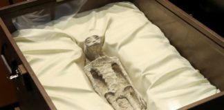 पहली बार दुनिया के सामने आई एलियन की लाशें, नहीं होगा अपनी आंखों पर यकीन, देखें VIDEO