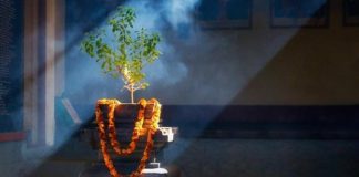 Tulsi Vivah 2023: तुलसी विवाह के दिन इन बातों का रखें ध्यान, होगी हर मनोकामना पूरी