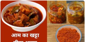 Top 10 Google Search Recipe 2023 : गूगल पर टॉप पर रहा ‘आम का आचार’ और ‘सेक्स ऑन द बीच’ रेसीपी