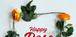 Rose Day Quotes 2024: गुलाब के साथ अपने पार्टनर को भेजें ये खूबसूरत शायरियां