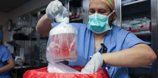 डॉक्टर्स का कमाल सूअर की किडनी इंसान में ट्रांसप्लांट, जानें सर्जनी का पूरा प्रोसेस