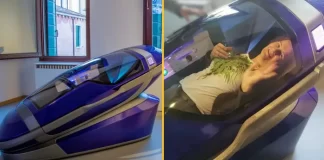 1 बटन दबाते ही निकल जाएगी सांसें, स्विट्जरलैंड में तैयार हुआ सुसाइड पोड, जानें कीमत