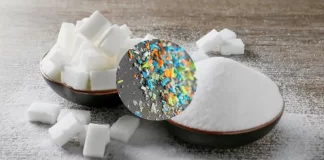 सावधान: देश के हर नमक-चीनी के ब्रांड में माइक्राप्लास्टिक, जानें स्टडी में क्या-क्या हुए खुलासे