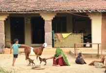 27 नवंबर को राजस्थान के इस गांव को मिलेगा बेस्ट टूरिस्ट विलेज अवॉर्ड, जानिए इसकी खासियतें