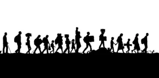 Indian Immigrants: ट्रंप के फरमान के बाद अमेरिका से निकाले गए 205 भारतीय, जानें कब आएंगे भारत?