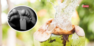 सिर्फ एक घूंट नारियल पानी ने ली शख्स की जान, जानें क्या है पूरा मामला?