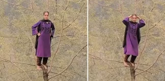 Viral Reels: पेड़ पर यूं चढ़कर किया डांस…VIDEO ने पूरा सोशल मीडिया हिला दिया