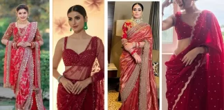 Karwa Chauth 2025: ट्राय करें ये 6 ब्लाउज़ डिज़ाइन, चांद से पहले आप पर टिकेंगी सबकी नज़रें