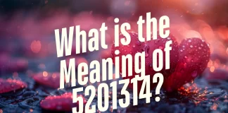5201314 क्या है? साल 2025 में चीन का यह नंबर भारत में क्यों हो रहा है इतना सर्च? जानें सबकुछ