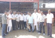 चिंतपूर्णी समाज सेवा समिति ने नंदी शाला में शैड निर्माण के लिए दिए एक लाख रुपये