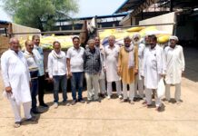 फतेहगढ़ गोदारावास के ग्रामीणों ने गौ माता के लिए दिया 150 क्विंटल कनक का दान