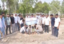 वंदे गंगा जल संरक्षण अभियान के तहत पीडब्ल्यूडी विश्राम गृह में हुआ वृक्षारोपण व श्रमदान