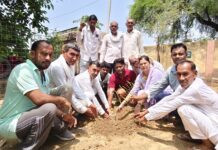 पर्यावरण संरक्षण के लिए अधिक से अधिक पौधे लगाने का लिया संकल्प