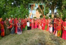धूमधाम से मनाया हरियाली महोत्सव
