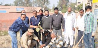 पौधरोपण कर दी पर्यावरण प्रेमी को श्रद्धांजलि
