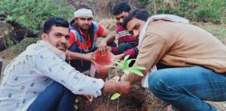 युवाओ ने पौधेरोपण करके की सुरक्षा