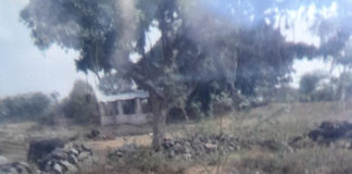 दरीबा पंचायत के कोटडी ग्राम में शमशान भूमि से अतिक्रमण हटाने को लेकर रावणा राजपूत समाज ने दिया कलेक्टर को ज्ञापन