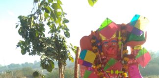 भीलवाड़ा में श्री कामधेनु बालाजी एवं गौ प्रतिमा का पतंगो से हुआ भव्य श्रृंगार